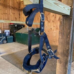 Horse Sized Navy Blue Lunging Cavesson